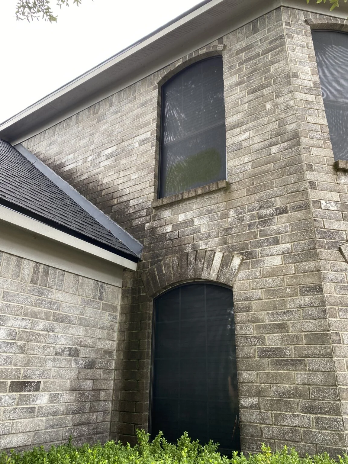 Shaded brick elevation holding dark biological growth across the mortar and brick face