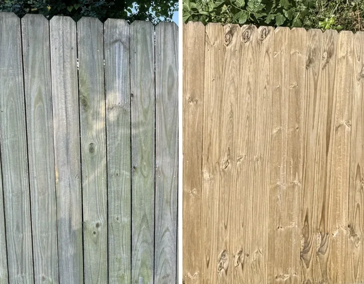 Weathered wood fence with green organic growth next to the same fence after treatment