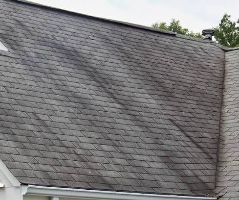Dark algae streaks running down asphalt shingle roof