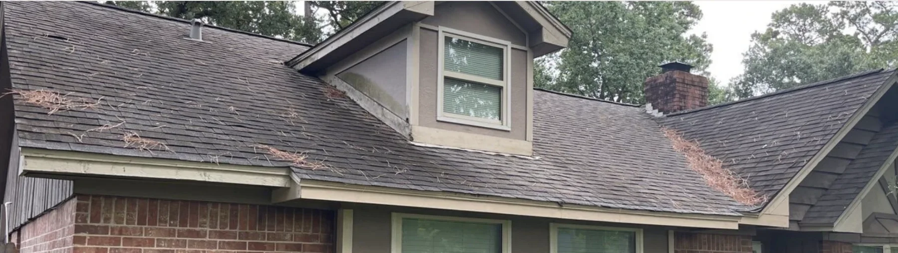 Pine needles and leaf debris collected across a shingle roof and its valleys