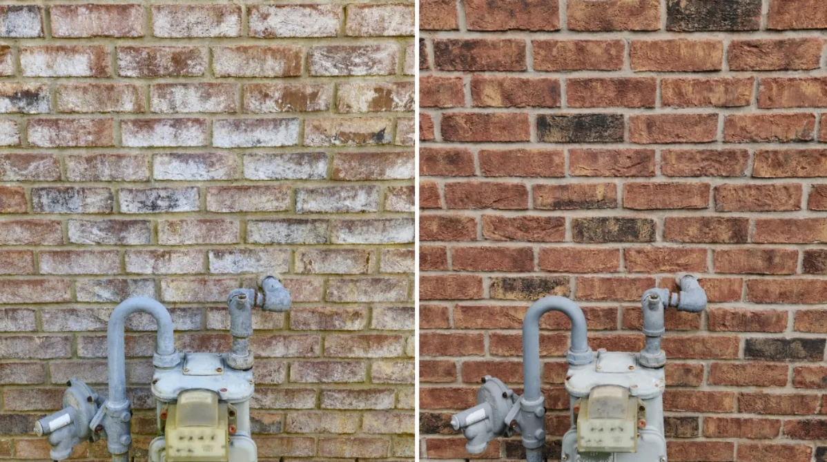 Brick wall covered in white efflorescence beside the same wall after mineral deposit removal
