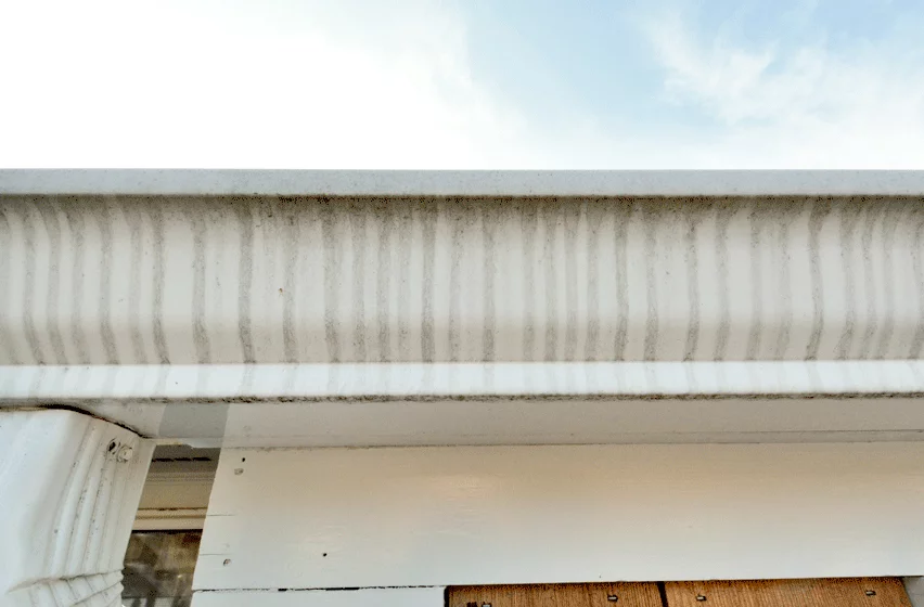 Tiger striping — vertical black streaks below white gutter seam
